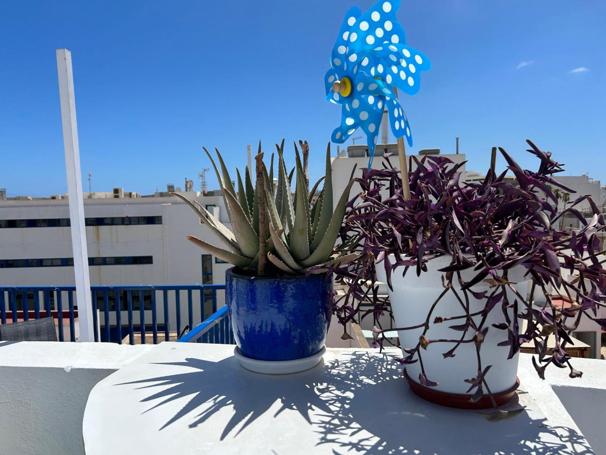 La Buganvilla Rooms Arrecife  Luaran gambar