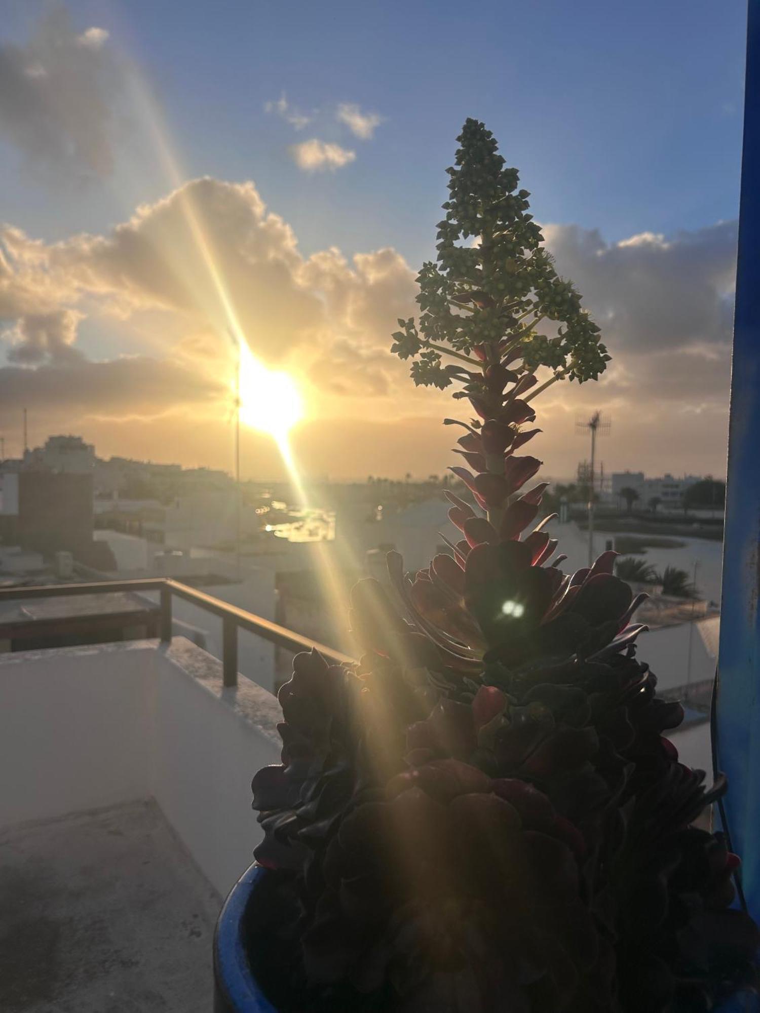 La Buganvilla Rooms Arrecife  Luaran gambar