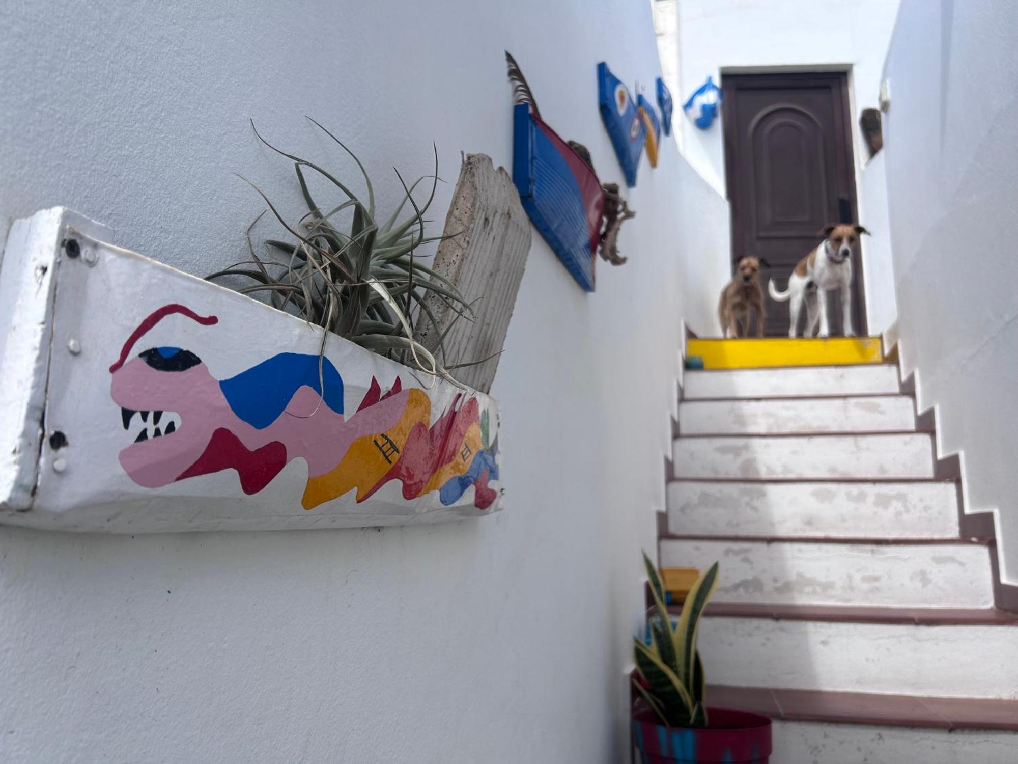 La Buganvilla Rooms Arrecife  Luaran gambar